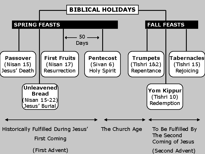 BIBLICAL HOLIDAYS SPRING FEASTS FALL FEASTS 50 Days Passover (Nisan 15) Jesus’ Death First