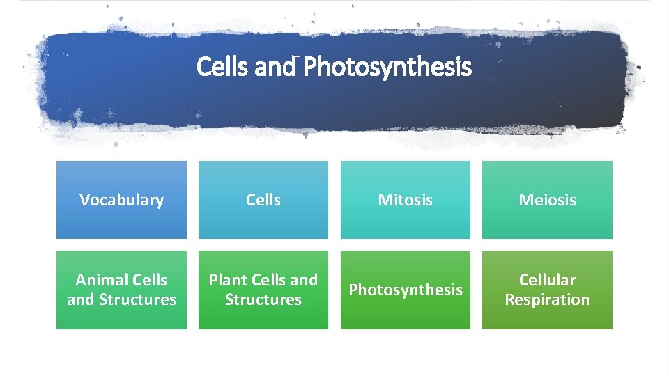 Cells and Photosynthesis Vocabulary Cells Animal Cells and Structures Plant Cells and Structures Mitosis