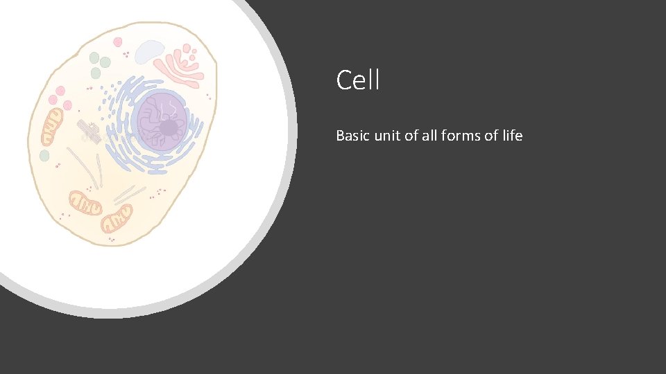 Cell Basic unit of all forms of life 