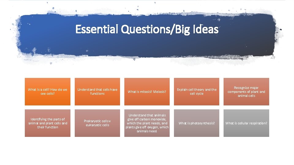 Essential Questions/Big Ideas What is a cell? How do we see cells? Identifying the