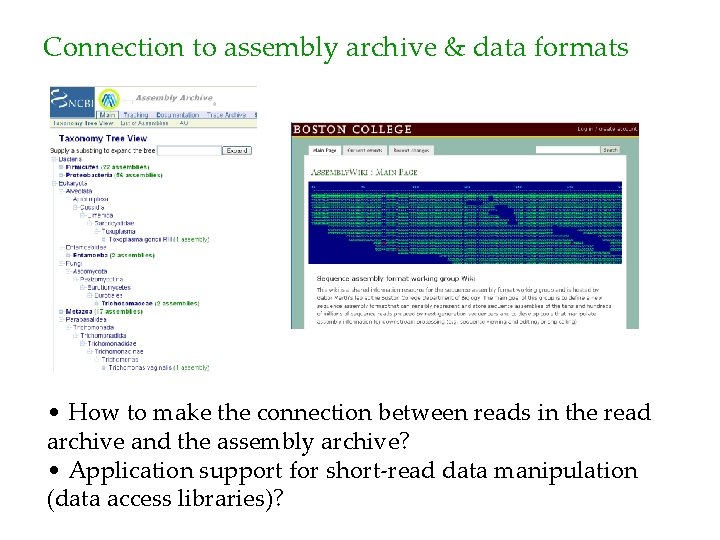 Connection to assembly archive & data formats • How to make the connection between