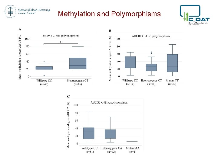 Methylation and Polymorphisms 