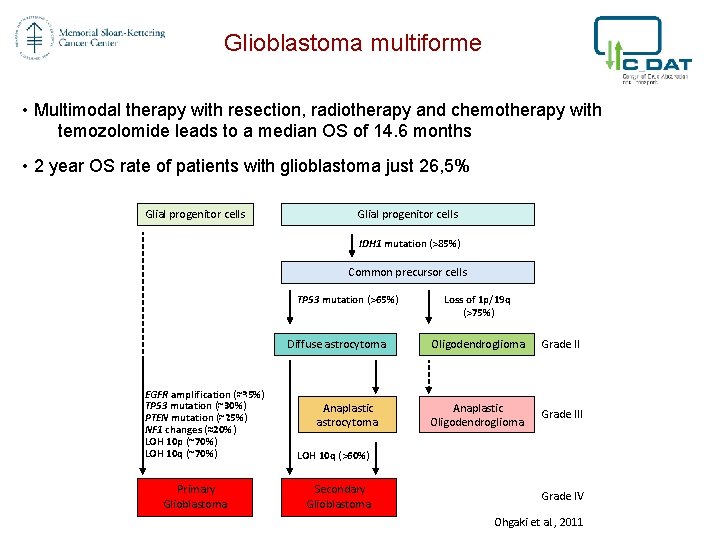 Glioblastoma multiforme • Multimodal therapy with resection, radiotherapy and chemotherapy with temozolomide leads to