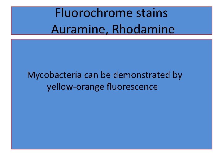 Fluorochrome stains Auramine, Rhodamine Mycobacteria can be demonstrated by yellow-orange fluorescence 