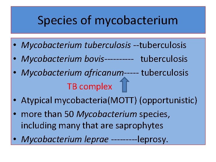 Species of mycobacterium • Mycobacterium tuberculosis --tuberculosis • Mycobacterium bovis----- tuberculosis • Mycobacterium africanum-----