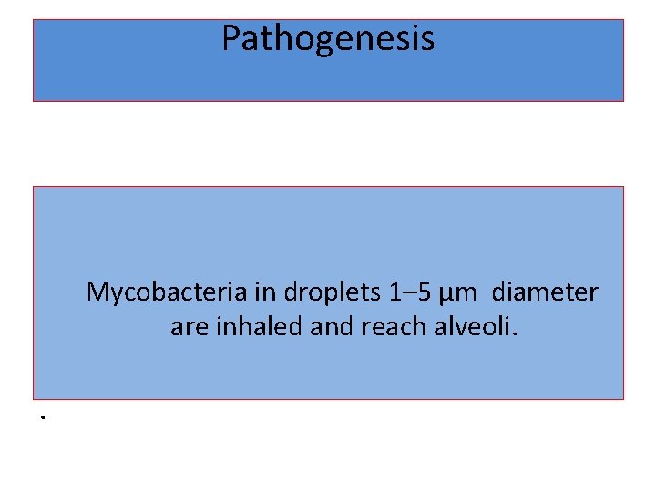 Pathogenesis Mycobacteria in droplets 1– 5 µm diameter are inhaled and reach alveoli. .