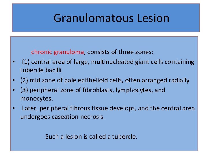 Granulomatous Lesion • • chronic granuloma, consists of three zones: (1) central area of