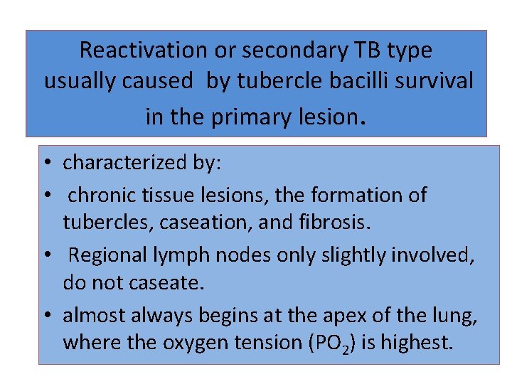 Reactivation or secondary TB type usually caused by tubercle bacilli survival in the primary