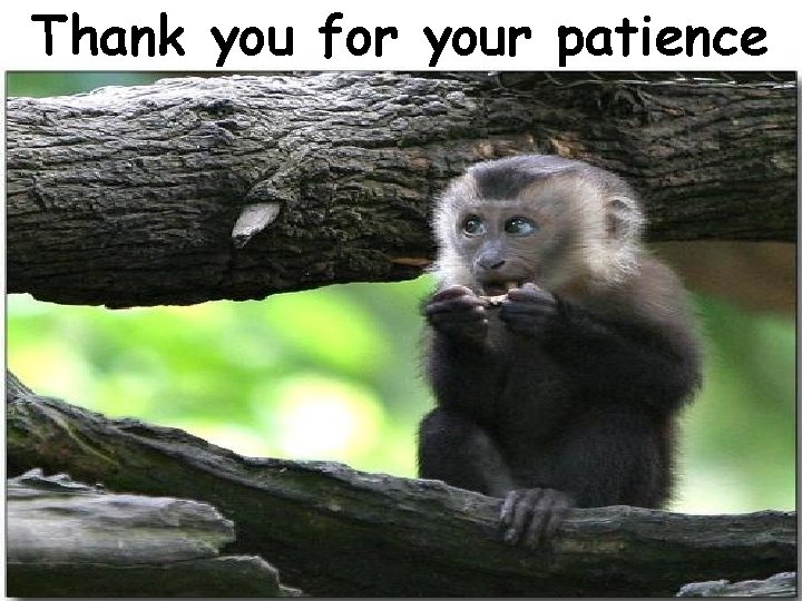 Thank you for your patience 