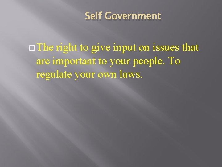 Self Government The right to give input on issues that are important to your