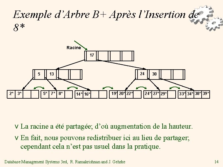 Exemple d’Arbre B+ Après l’Insertion de 8* Racine 17 5 2* 3* 24 13