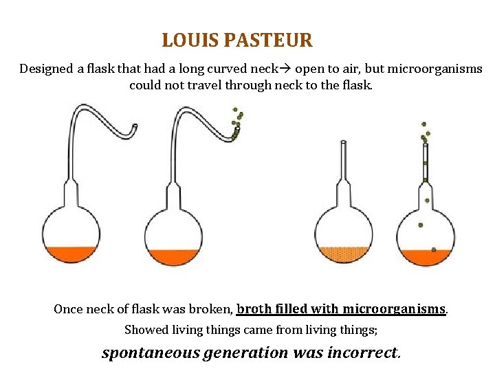 LOUIS PASTEUR Designed a flask that had a long curved neck open to air,