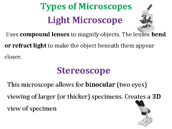 Types of Microscopes Light Microscope Uses compound lenses to magnify objects. The lenses bend