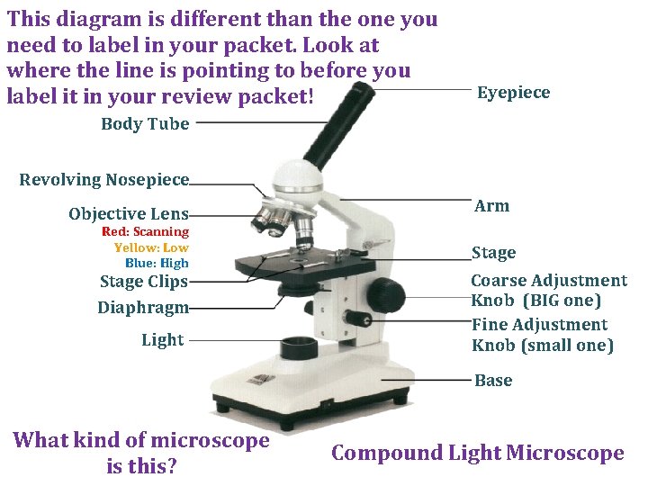 This diagram is different than the one you need to label in your packet.