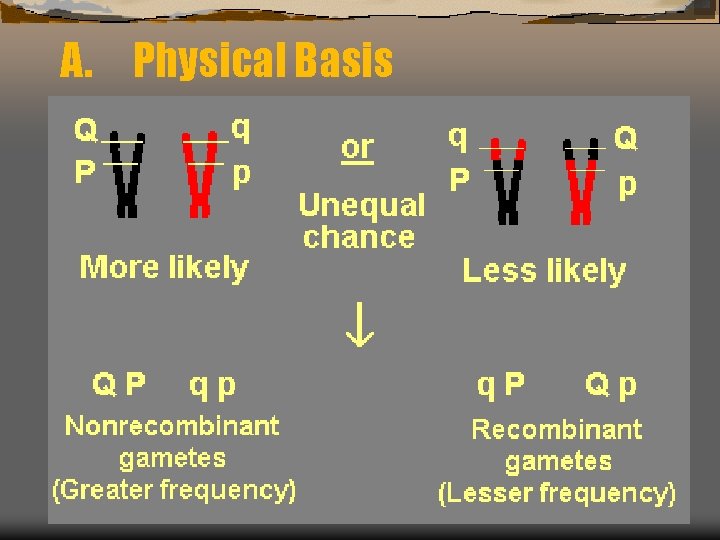 A. Physical Basis 