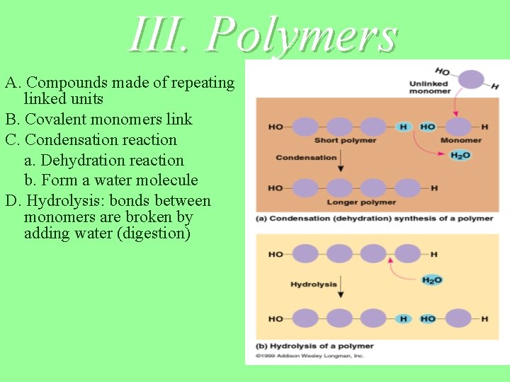 III. Polymers A. Compounds made of repeating linked units B. Covalent monomers link C.