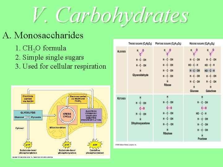 V. Carbohydrates A. Monosaccharides 1. CH 2 O formula 2. Simple single sugars 3.