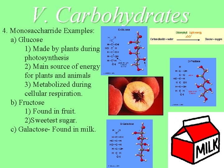 V. Carbohydrates 4. Monosaccharride Examples: a) Glucose 1) Made by plants during photosynthesis 2)