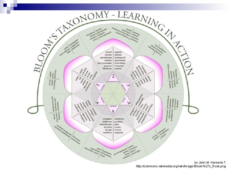by John M. Kennedy T. http: //commons. wikimedia. org/wiki/Image: Bloom%27 s_Rose. png 