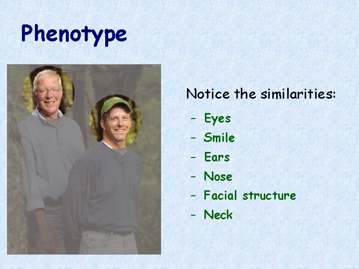 Phenotype Notice the similarities: – Eyes – Smile – Ears – Nose – Facial