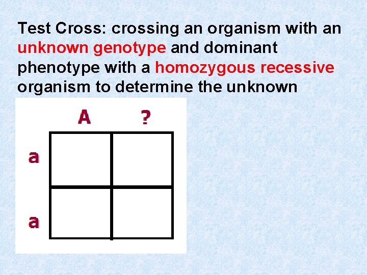 Test Cross: crossing an organism with an unknown genotype and dominant phenotype with a