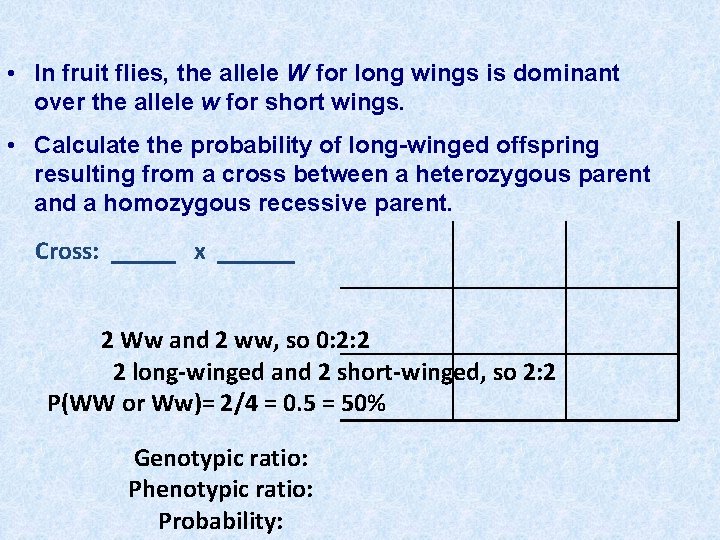  • In fruit flies, the allele W for long wings is dominant over