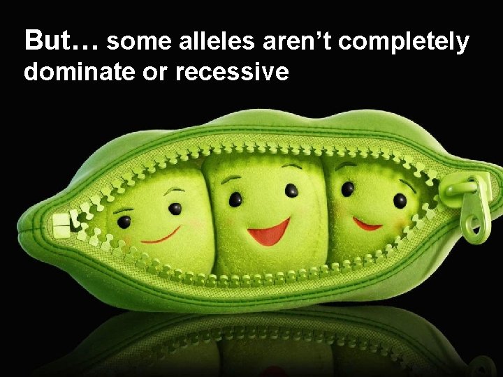 But… some alleles aren’t completely dominate or recessive 