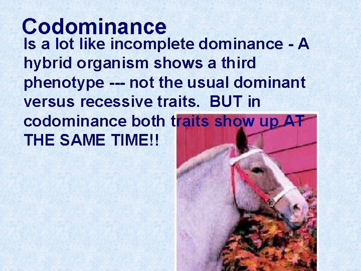 Codominance Is a lot like incomplete dominance - A hybrid organism shows a third