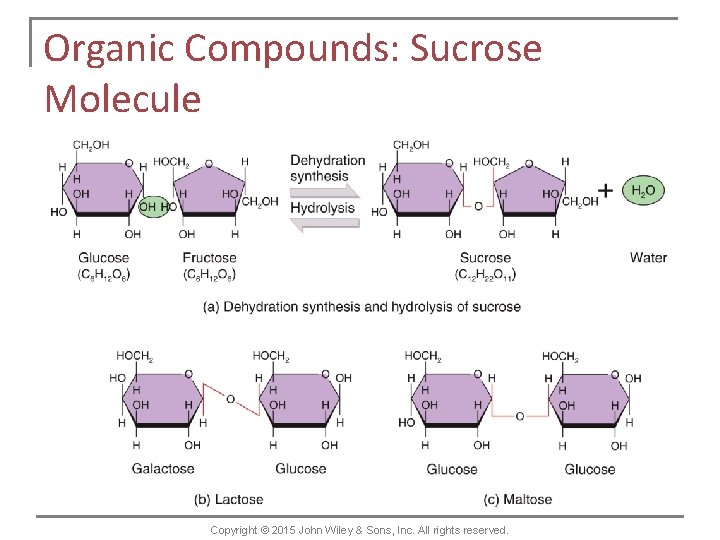 Organic Compounds: Sucrose Molecule Copyright © 2015 John Wiley & Sons, Inc. All rights