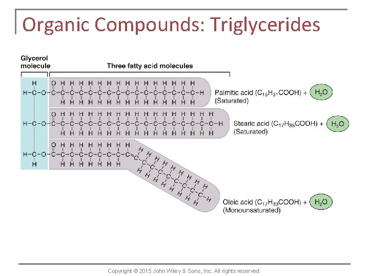 Organic Compounds: Triglycerides Copyright © 2015 John Wiley & Sons, Inc. All rights reserved.