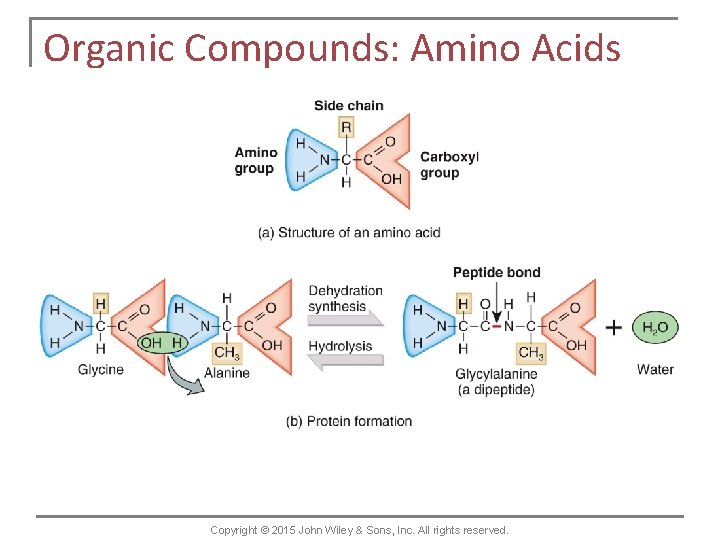 Organic Compounds: Amino Acids Copyright © 2015 John Wiley & Sons, Inc. All rights