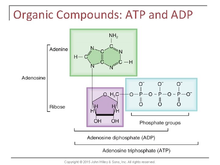 Organic Compounds: ATP and ADP Copyright © 2015 John Wiley & Sons, Inc. All