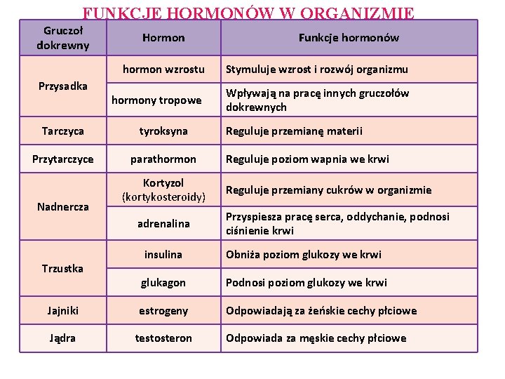 UKAD HORMONALNY budowa i funkcje WANE POJCIA ENDOKRYNOLOGIA