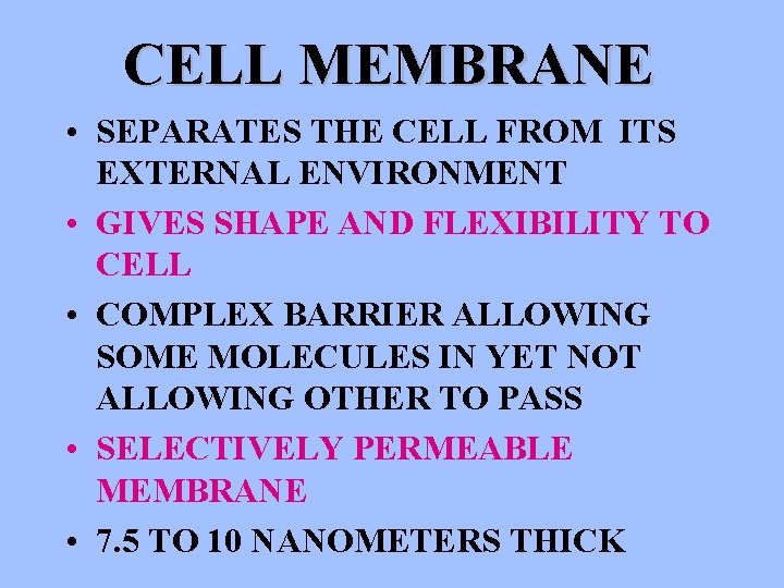 CELL MEMBRANE • SEPARATES THE CELL FROM ITS EXTERNAL ENVIRONMENT • GIVES SHAPE AND