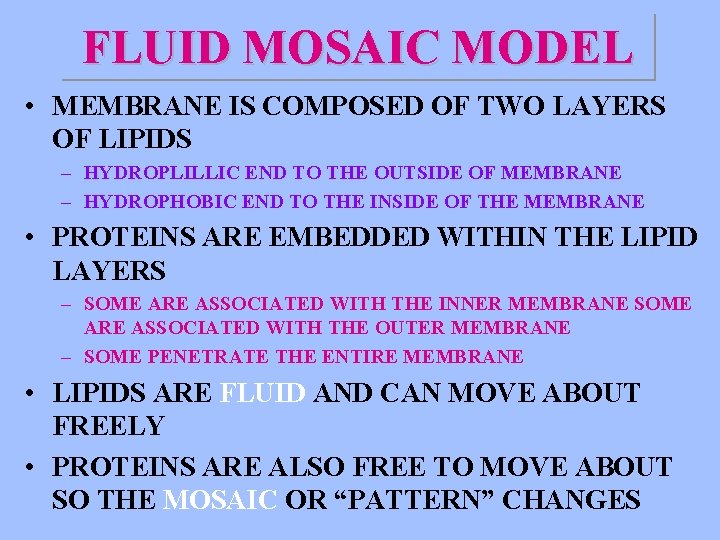 FLUID MOSAIC MODEL • MEMBRANE IS COMPOSED OF TWO LAYERS OF LIPIDS – HYDROPLILLIC