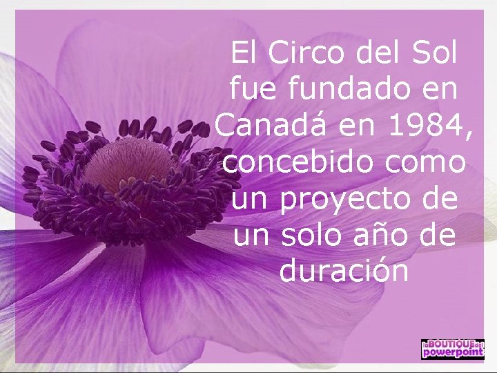 El Circo del Sol fue fundado en Canadá en 1984, concebido como un proyecto