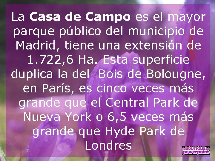 La Casa de Campo es el mayor parque público del municipio de Madrid, tiene