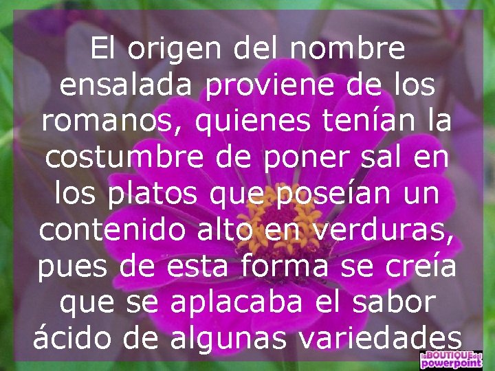 El origen del nombre ensalada proviene de los romanos, quienes tenían la costumbre de