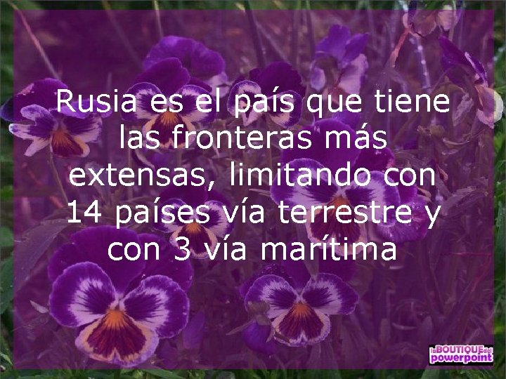 Rusia es el país que tiene las fronteras más extensas, limitando con 14 países