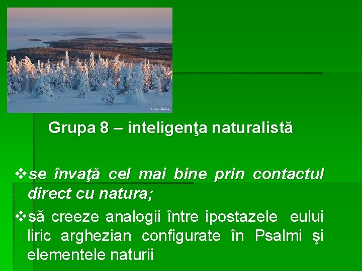 Grupa 8 – inteligenţa naturalistă vse învaţă cel mai bine prin contactul direct cu