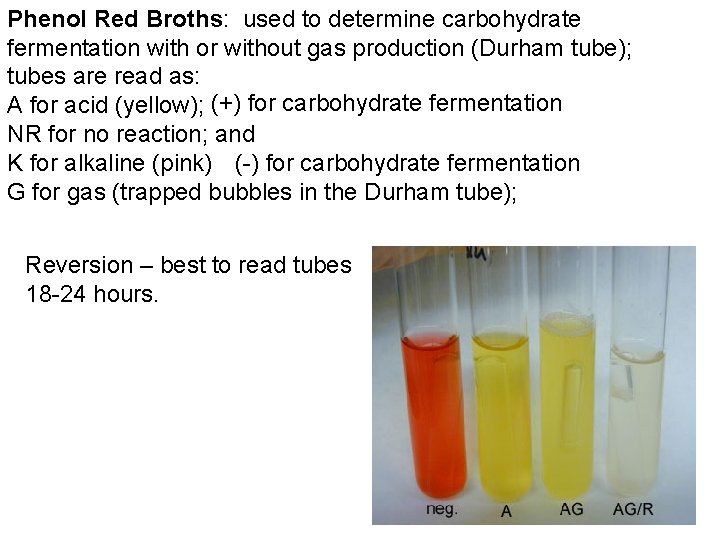 Phenol Red Broths: used to determine carbohydrate fermentation with or without gas production (Durham