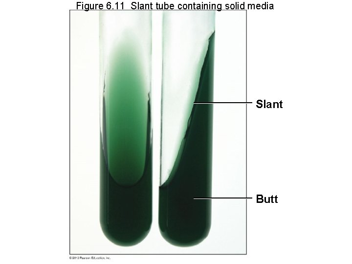 Figure 6. 11 Slant tube containing solid media Slant Butt 