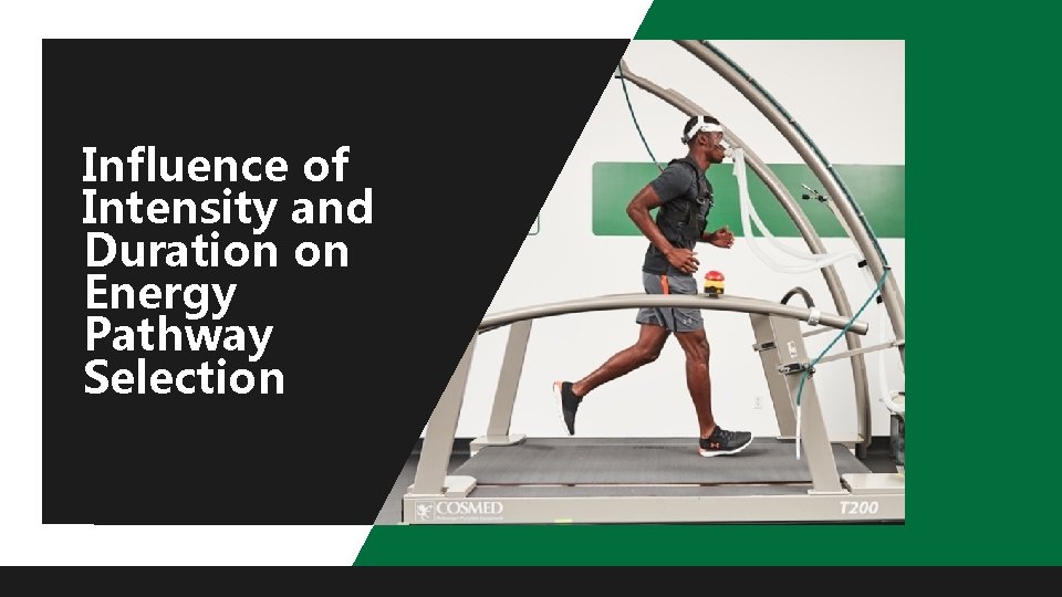 Influence of Intensity and Duration on Energy Pathway Selection 