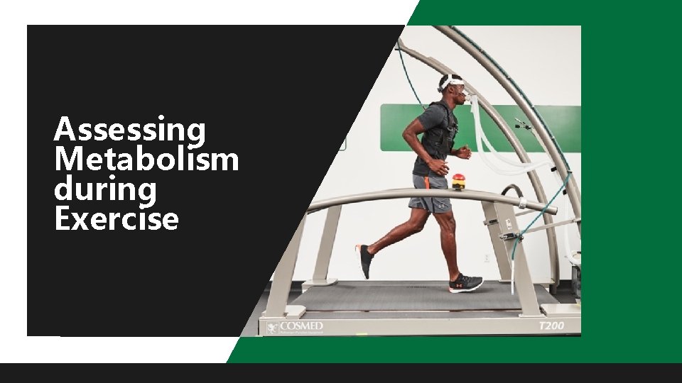 Assessing Metabolism during Exercise 