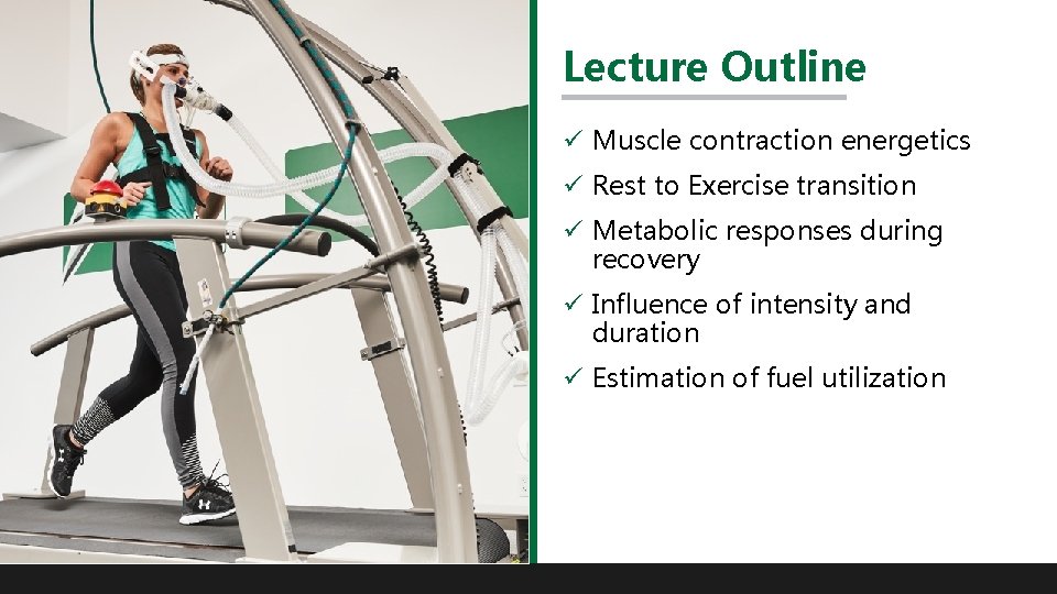Lecture Outline ü Muscle contraction energetics ü Rest to Exercise transition ü Metabolic responses