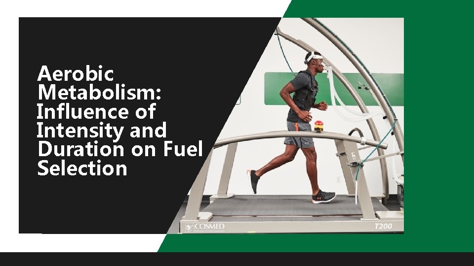 Aerobic Metabolism: Influence of Intensity and Duration on Fuel Selection 