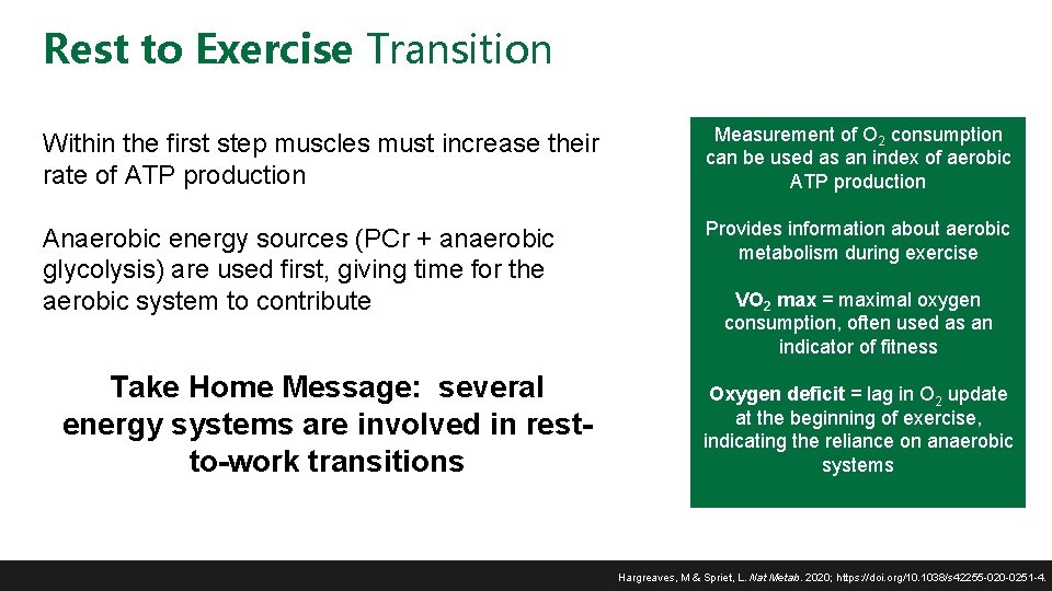 Rest to Exercise Transition Within the first step muscles must increase their rate of