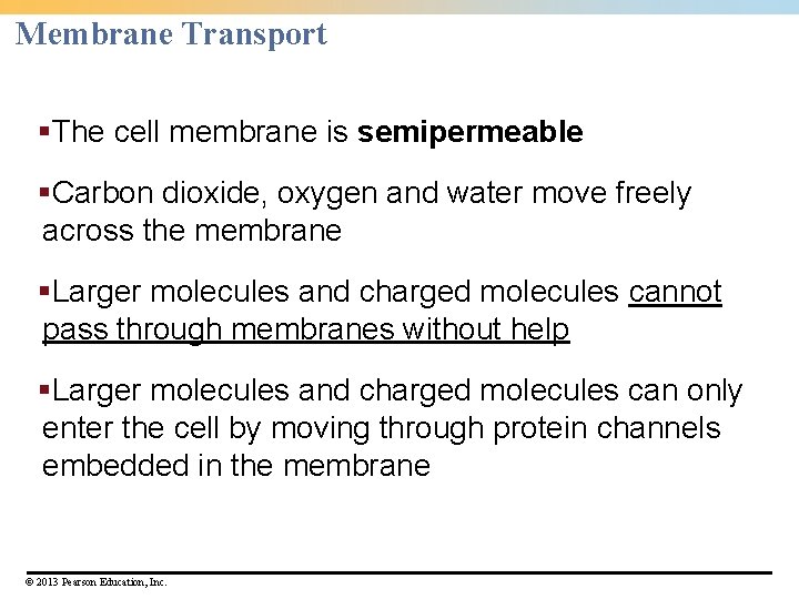 Membrane Transport §The cell membrane is semipermeable §Carbon dioxide, oxygen and water move freely