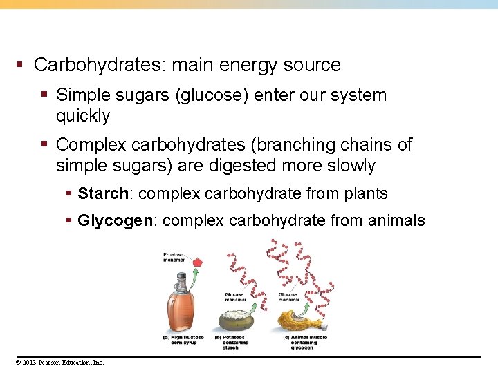 § Carbohydrates: main energy source § Simple sugars (glucose) enter our system quickly §