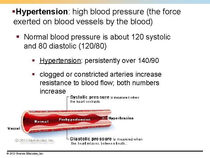 §Hypertension: high blood pressure (the force exerted on blood vessels by the blood) §